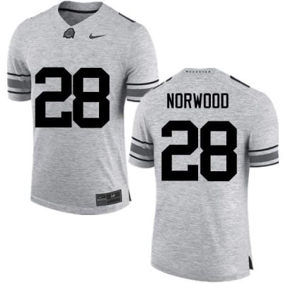 NCAA Ohio State Buckeyes Men's #28 Joshua Norwood Gray Nike Football College Jersey TNN2345RJ